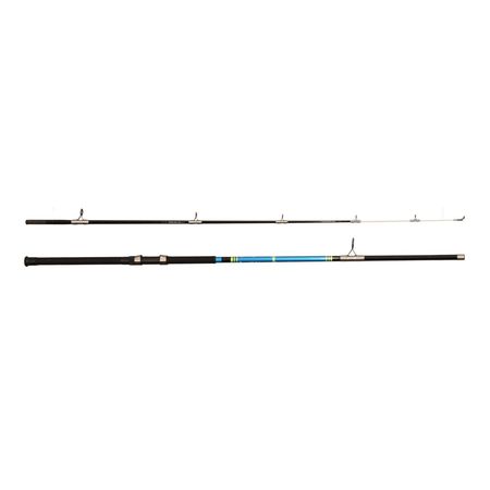 BNM Silver Cat Catfish Series Rod 7ft 2pc Casting SCAT70C